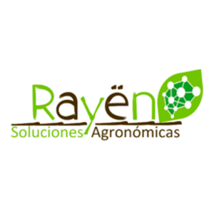 rayen.org/