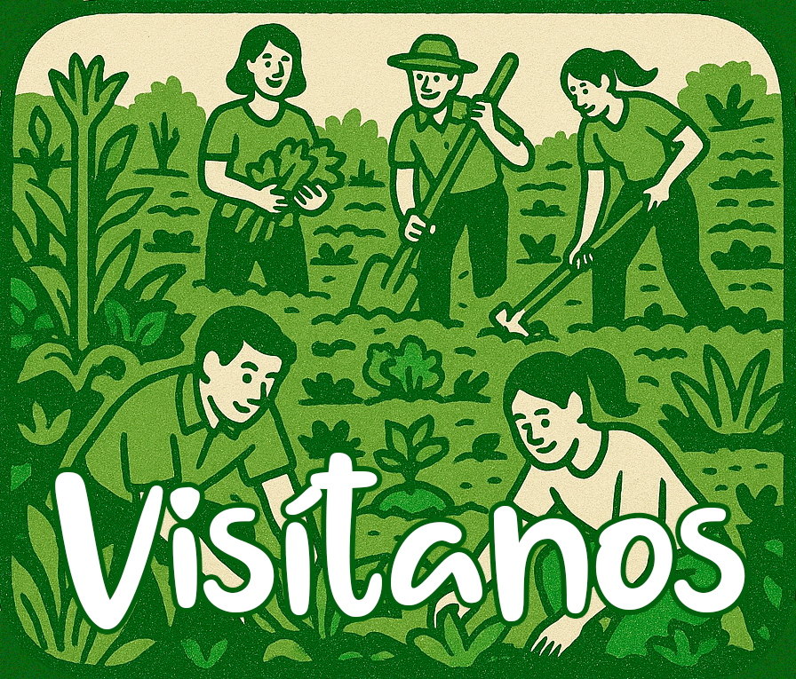 Visitar Torre Escribana