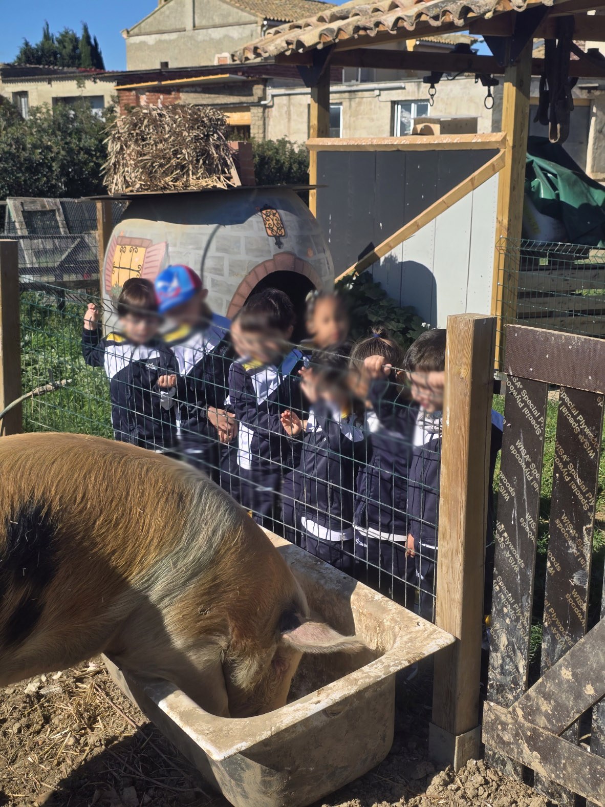 Grupo de niñas y niños con animales de la finca
