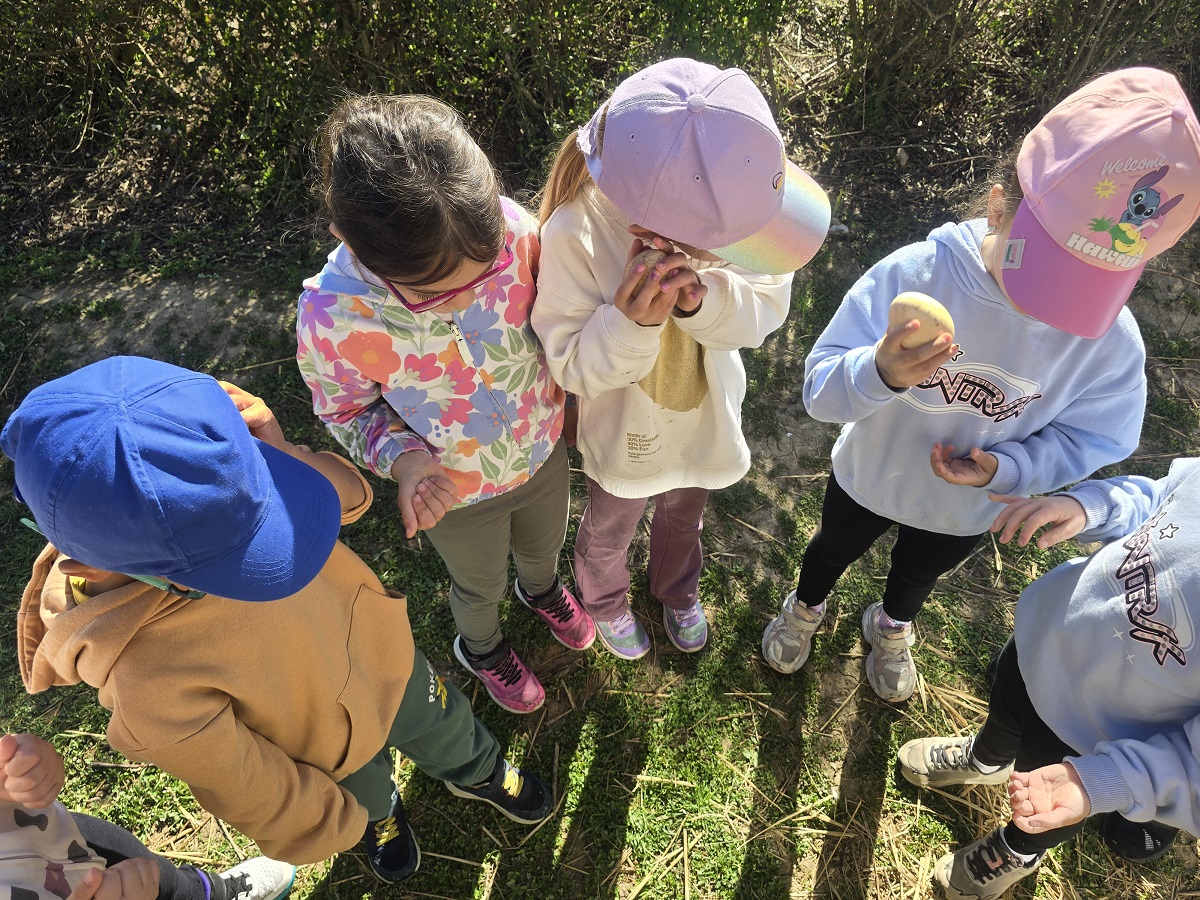 Niñas y niños descubriendo plantas del huerto