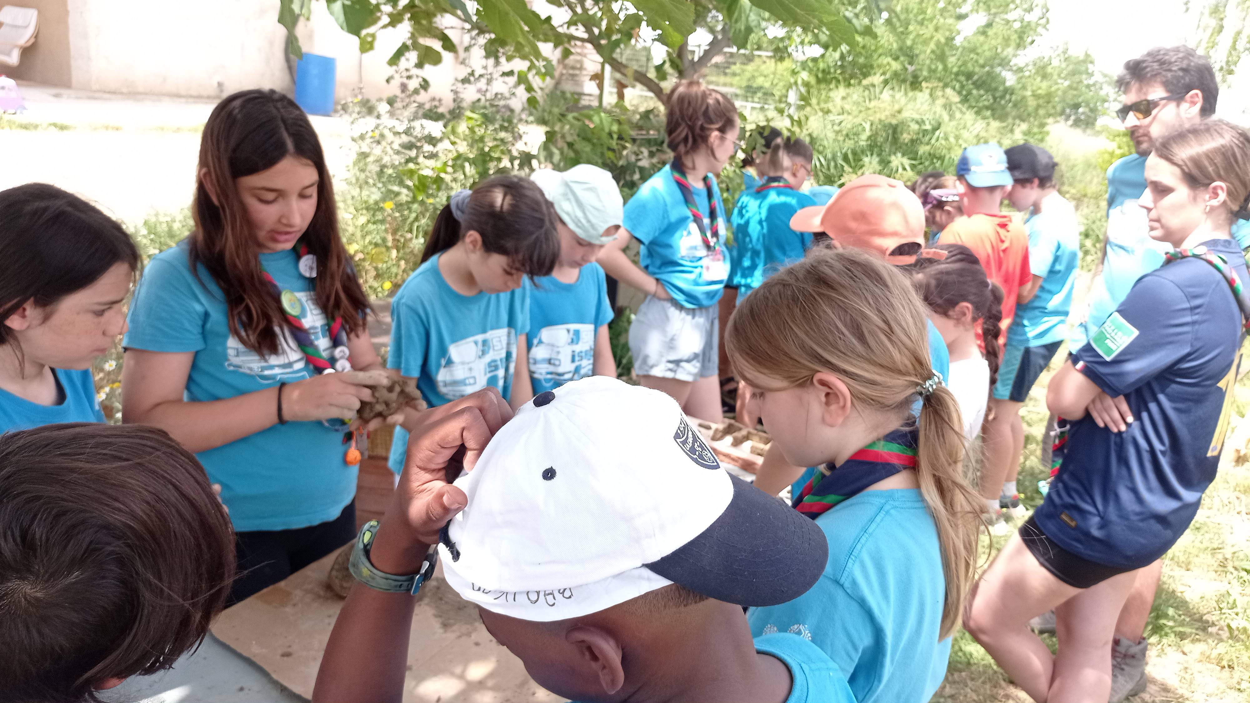 Excursión de día en Torre Escribana